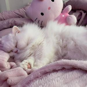 白璧无瑕 TYPE BEAT(0016)