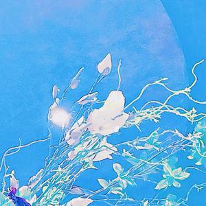 世界上最美的花一定会盛开