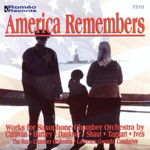 Symphony for Saxophone Chamber Orchestra: Presto