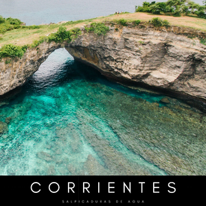 Olas Costeras