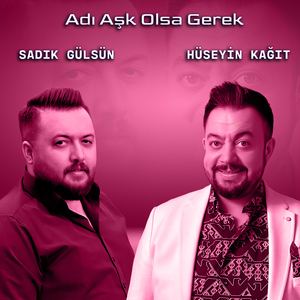 Adı Aşk Olsa Gerek