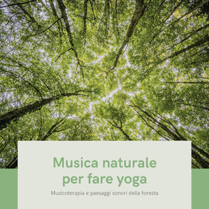 All'ombra degli alberi