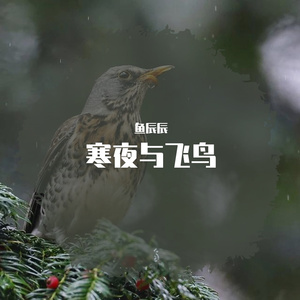 诉给那平凡的黑夜