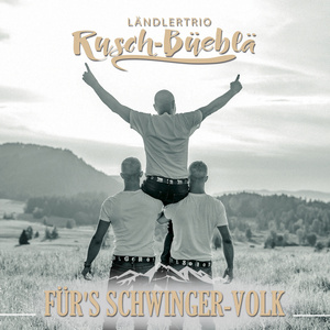 Für's Schwinger-Volk