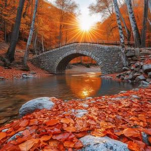 《丹青画卷里的岁月守望》