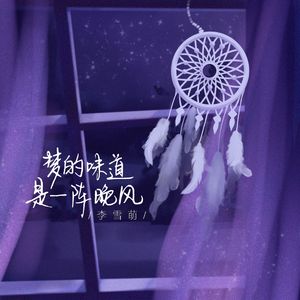 梦的味道是一阵晚风（DJ版）