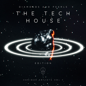 In My House (Techouse Mix)