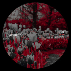 Tulips (Original Mix)