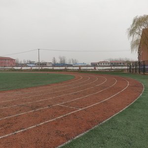 海棠花开的地方