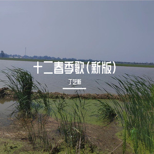 十二月春歌(DJ电子琴)