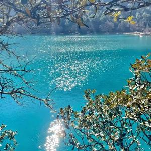 下辈子如果我还记得你