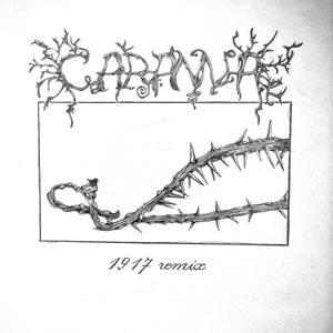 1917 (Fertileperombraènatura Remix)