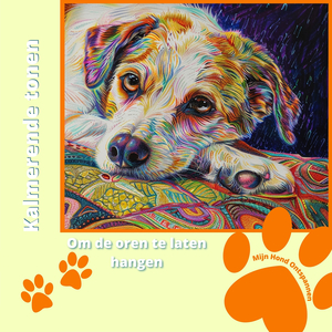 Terwijl jij weg bent