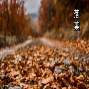 こだまの中に失う