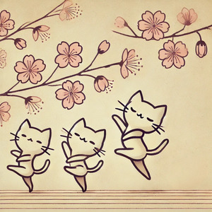 揺れる桜 – 咲く三味線