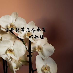 分开的第几个冬夏