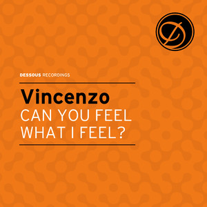 Can You Feel What I Feel (Dub Mix)