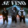 Naii Naii - Se Vino (Remix)