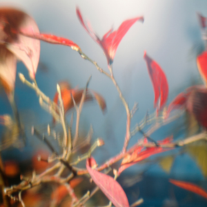 we still have miles to go (W.ANNA.W & xato remix)