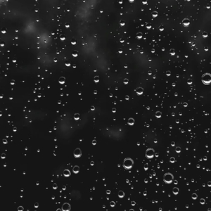 雨爱