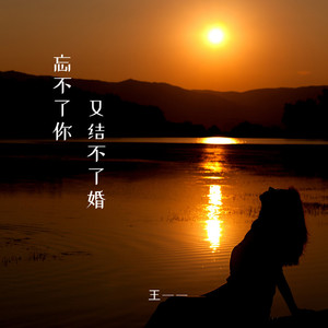 忘不了你又结不了婚