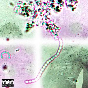 She Think She Love Me