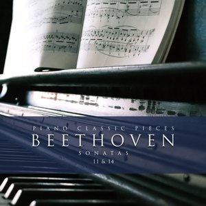 Sonata No. 14 Bb Major Op. 27-2 - 3 Presto Agitato