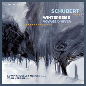 Winterreise, D. 911: 5. Der Lindenbaum
