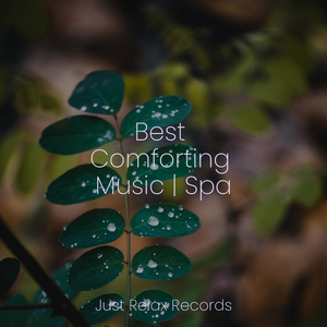 Tranquility's Flight