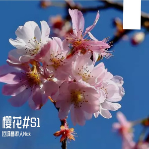 さくらの花言葉