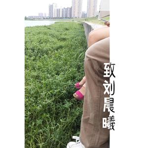 她应该很伤心吧(NO.36)