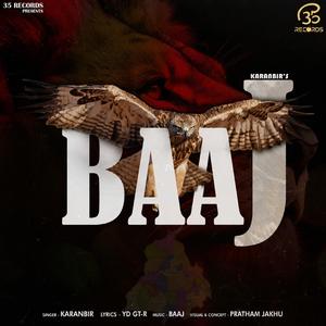 Baaj