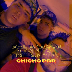 Pal Parison