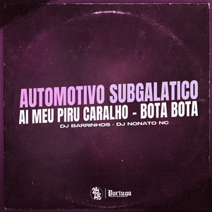 Automotivo Subgalatico - Ai Meu Piru Caralho - Bota Bota