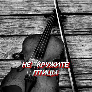 НЕ КРУЖИТЕ ПТИЦЫ