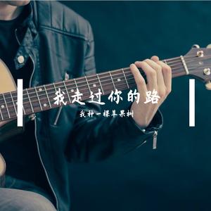 寂寞的歌（Cover 何思渔）