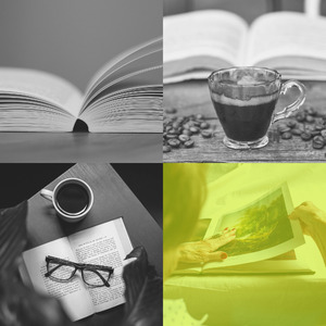 柔和的正在读书时刻