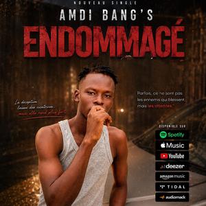 ENDOMAGÉ