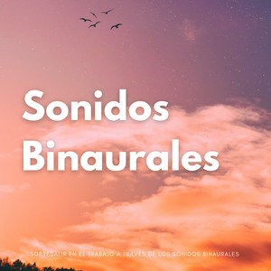 Registros Binaurales