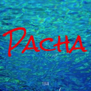 Pacha