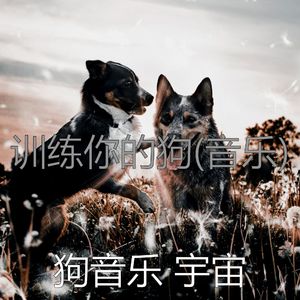 天堂般(宠物午睡)