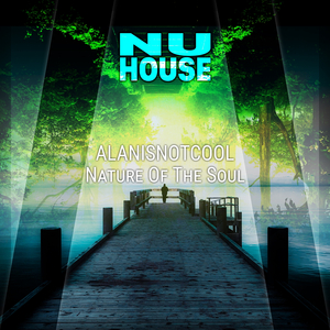 Nature of the Soul (Original Mix)