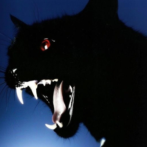 Love Freestyle (feat. Ridha)