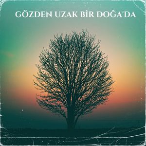 Gözden Uzak Bir Doğa'da
