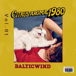 仿生小猫会梦见电子蝴蝶吗