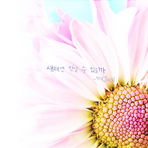 새해엔 만날 수 있을까