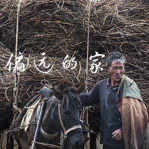 偏远的家