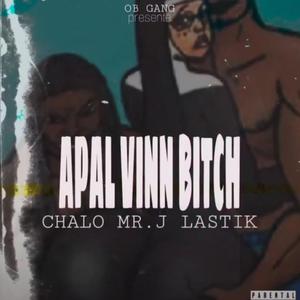 APAL VINN BITCH (feat. ChaLo Mr.j LastiK)