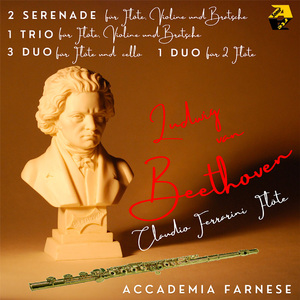 Variations on "Là ci darem la mano" from Mozart's opera Don Giovanni in C Major, WoO 28: IX. Variation 8. Allegretto giocoso
