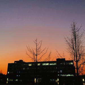 Butterfly (Prod EVOMUSIC )